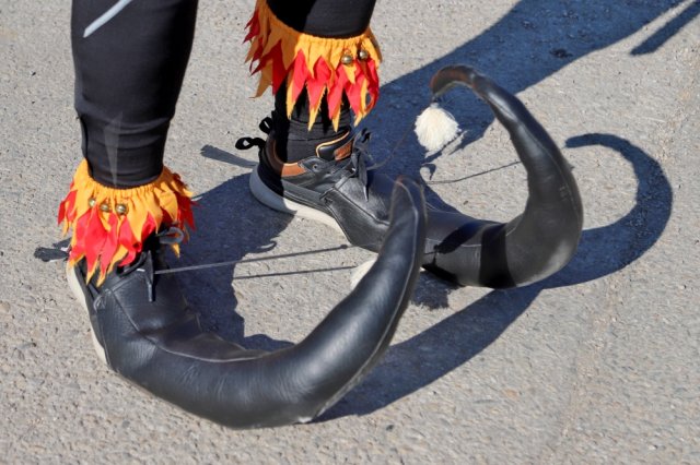 Narrentreiben 2025 (Fotos Rochus Hetzendorfer)